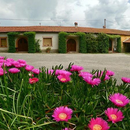 Agriturismo Monte Alzato Capalbio Exterior photo